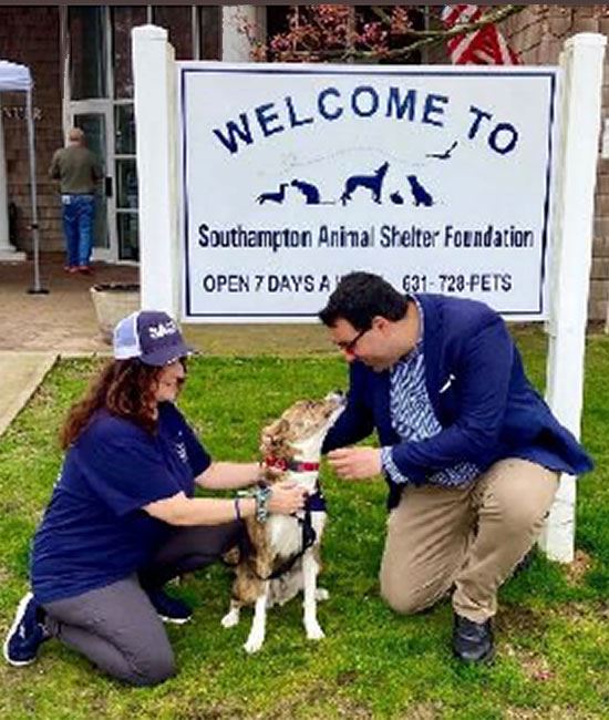 News Flash • Join us for Town of Southampton Pet Vaccination