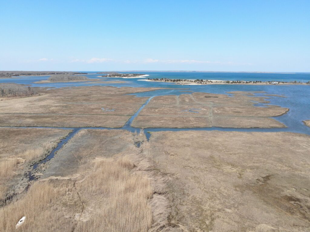 News Flash • Town of East Hampton Accepting Applications for