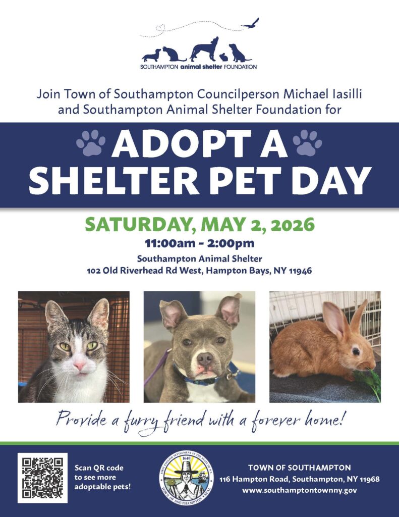 Join Us for Adopt a Shelter Pet Day! • Southampton, NY