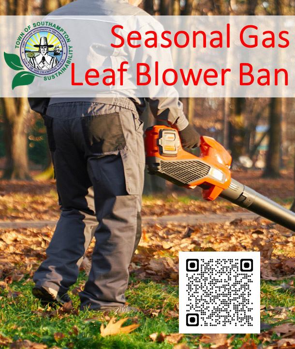 Spring Cleanup Reminder • Southampton, NY